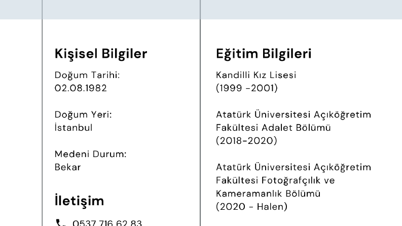 Profesyonel Özgeçmiş 