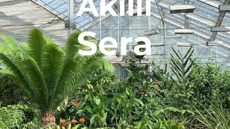 Akıllı Sera Mobil Uygulama Tasarımı