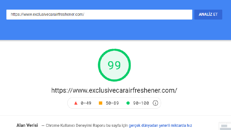Google Pagespeed Hız Çalışması
