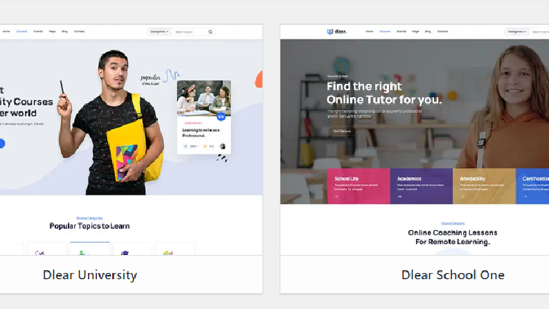 Wordpress Tema Değişikliği