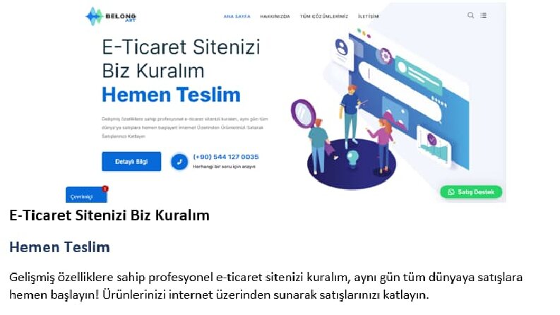 Belongart | Web Site İçeriği Düzenlenmesi