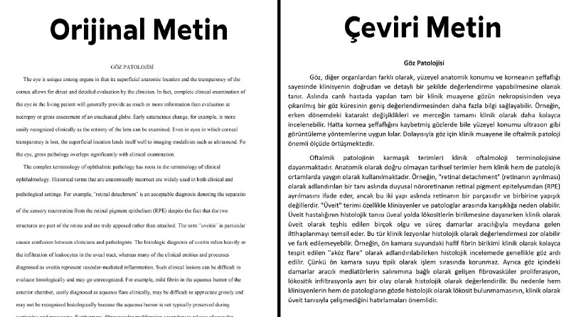 Ders Notu Çevirisi