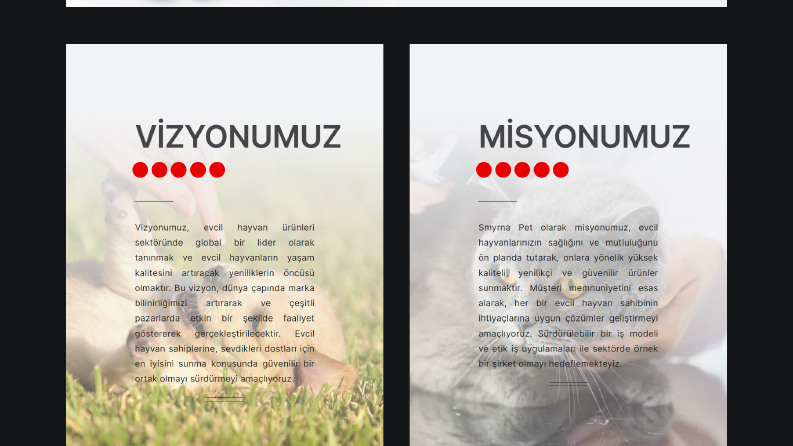 Smyrna Pet - Ana Sayfa Tasarımı