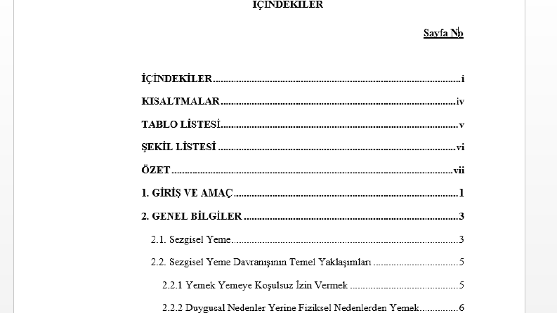 Tez düzenleme 