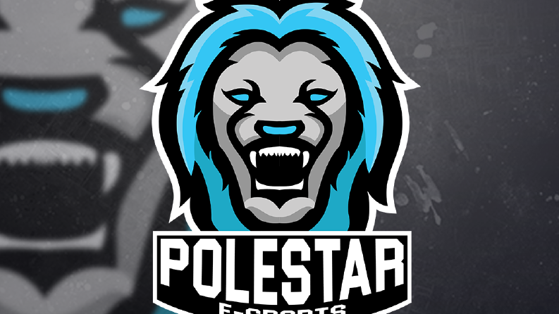 Logo Tasarımı