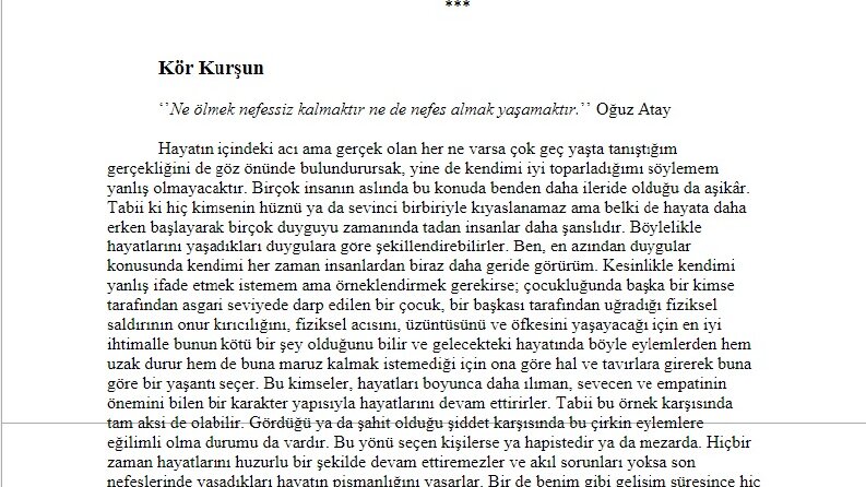 Roman Çalışması
