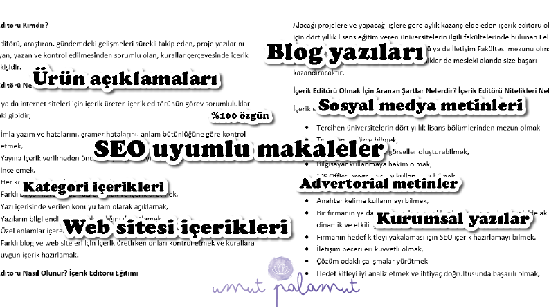 Metin Yazarlığı