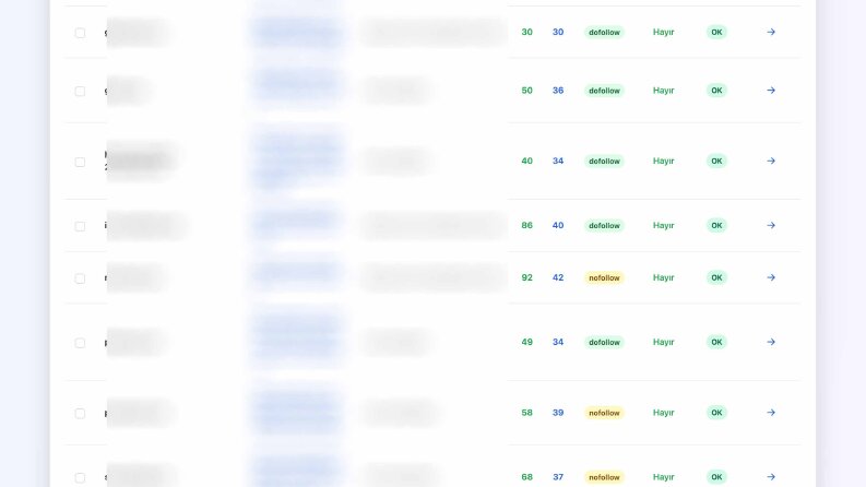 Yüksek Otoriteli Backlink Raporu 2026 v3