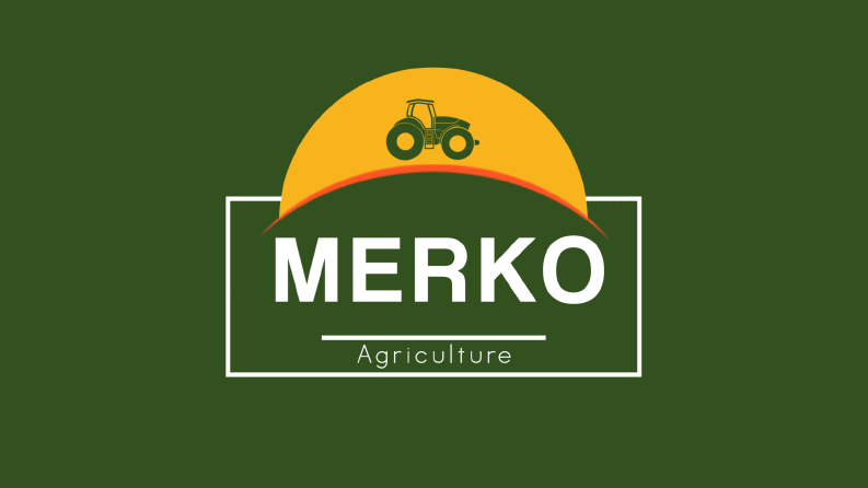Logo Tasarımı