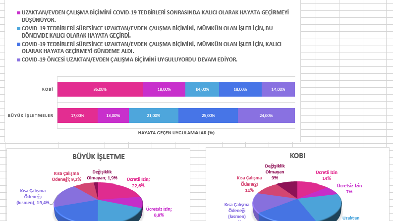 İstihdam-İşsizlik, Pandemi ve Kadın Çalışanlarda Etkileri