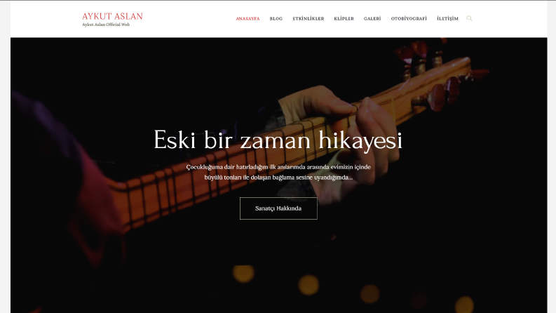 Wordpress Web Site Hizmeti