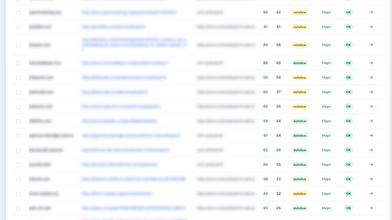 40+ Adet Yüksek Otoriteli Backlink Raporu 2025 v3