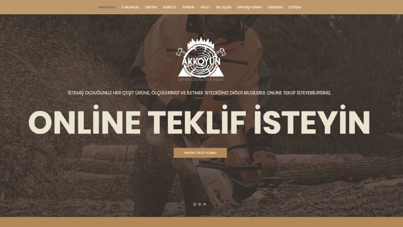 Kurumsal Wordpress Sitesi Özelleştirme