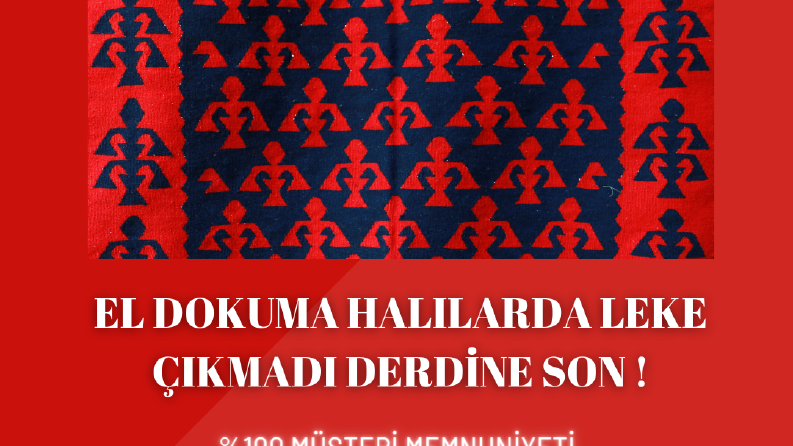 Profesyonel Temizlik