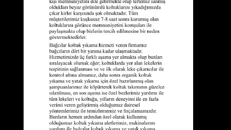 Avrupa Vizyon Temizlik- Web Sitesi içeriği