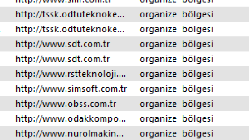 Diğer İnternet Reklamcılığı