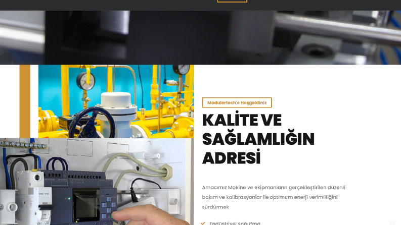 Profesyonel Web Tasarım
