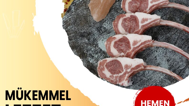 Pişşir Gurme - Bionluk