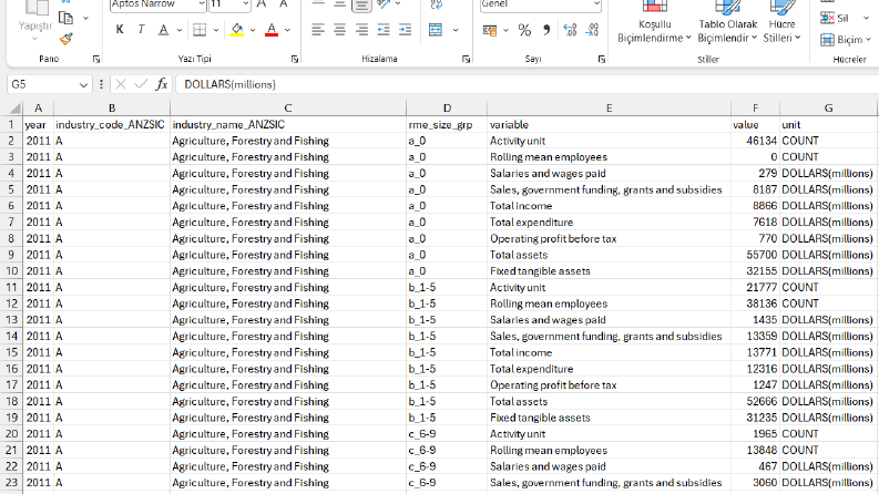 Excel düzenleme ve veri girişi