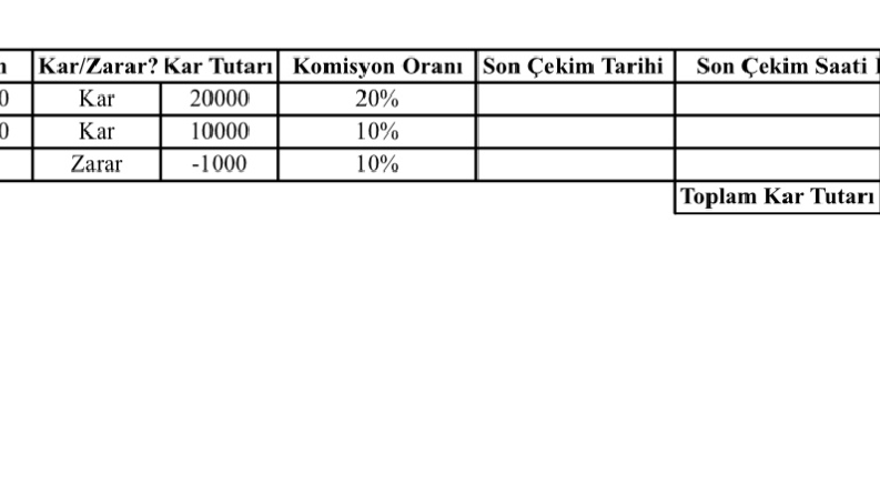 Excel’de toplam kâr hesaplaması