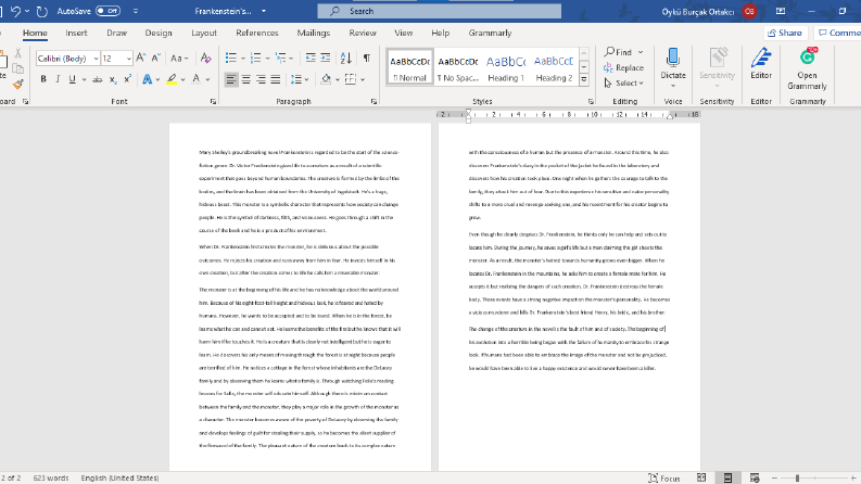 Frankenstein's Monster-Essay