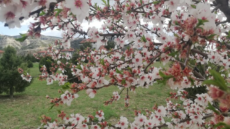 Ekolojik Konut Tanıtım Yazısı