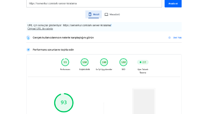 Mobil PageSpeed Sorunları