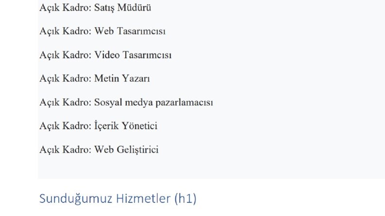 Web sitesi içeriği 