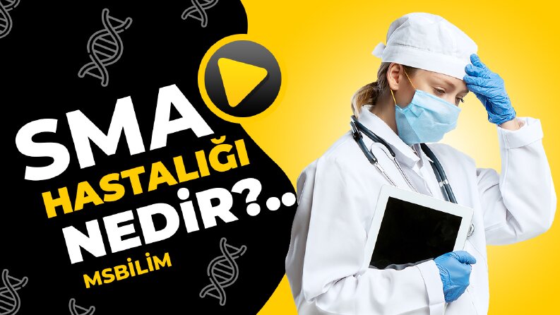 MSBİLİM - SMA Hastalığı Nedir Video Küçük Resmi