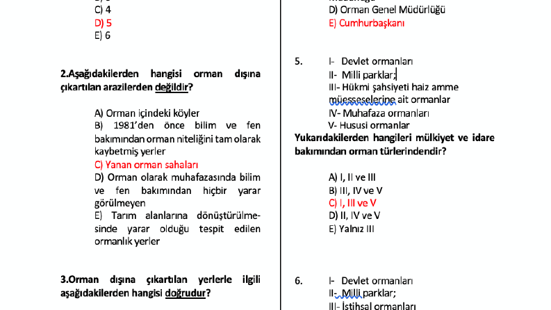 soru hazırlama
