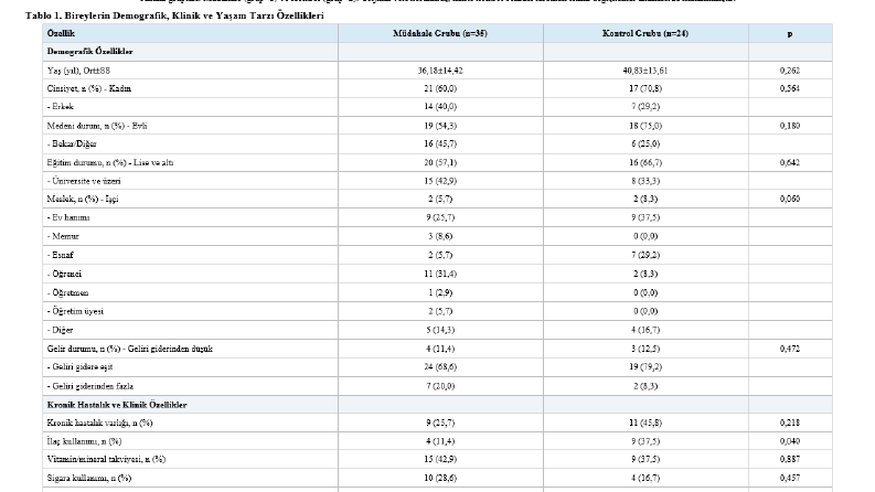 Akademik SPSS Analizi ve Makale Tabloları