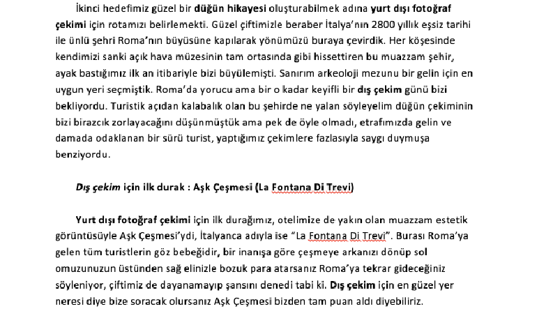 Web Sitesi İçeriği