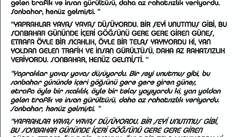 Fonta Türkçe Karakterler Ekleme ve Ekstra Stiller Oluşturma