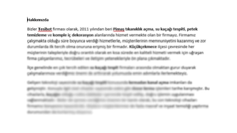 Web Sitesi İçeriği