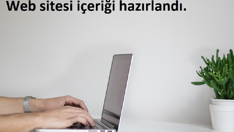 Web Sitesi İçeriği