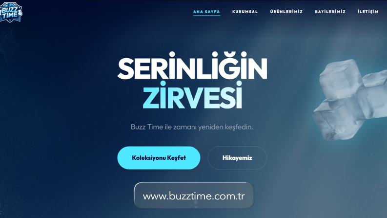 BuzzTime Profesyonel Kurumsal Web Sitesi