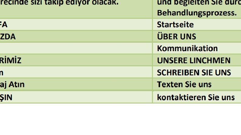 Almanca- TÜRKÇE çeviri 