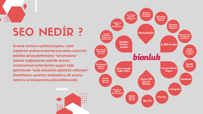 Seo Nedir ?