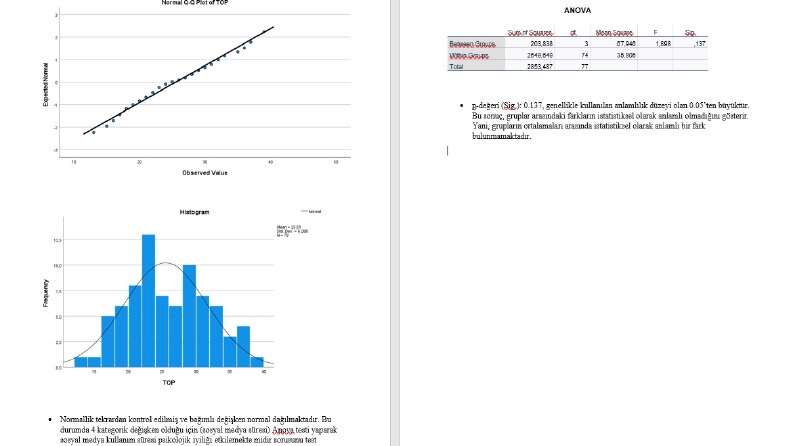 SPSS Veri Analizi