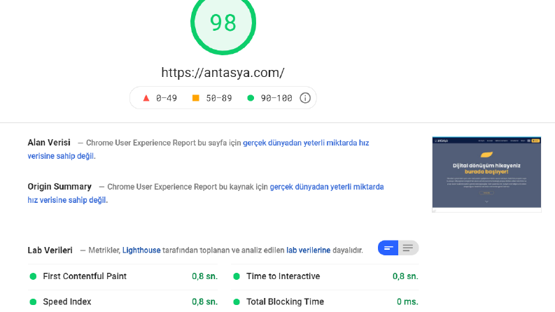 Pagespeed Optimizasyonu %98 Değerlerini Gördük