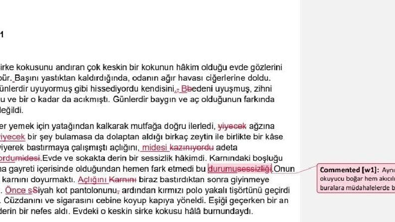 Kitap ve Kurgu Dosyası İçin Kurgu Editörlüğü ve Redaksiyon