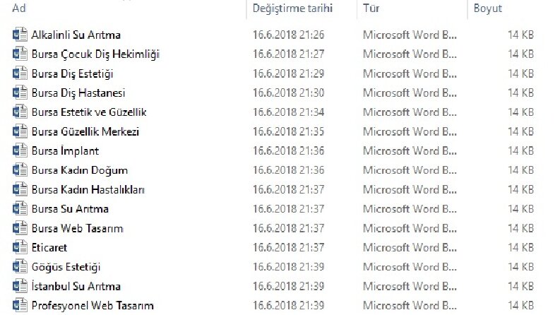 Web Sitesi İçeriği