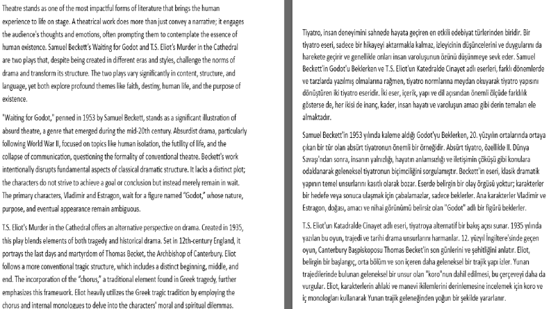 Akademik Yazı Çevirisi