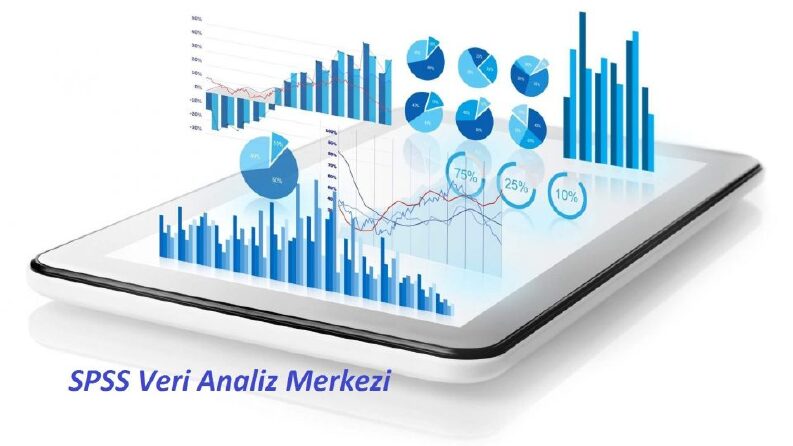 istatistiksel analiz ve raporlama