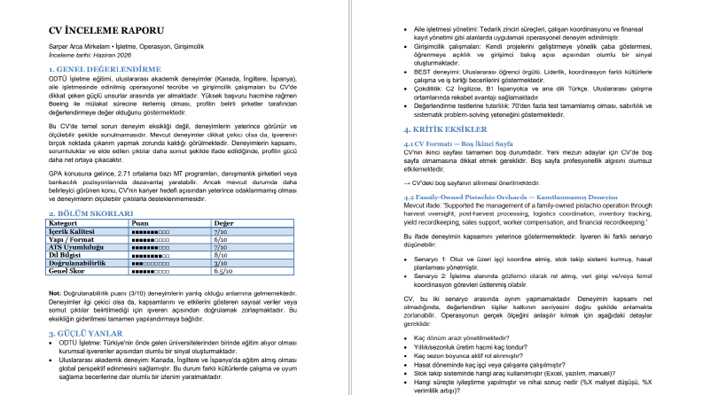 Profesyonel CV Analizi