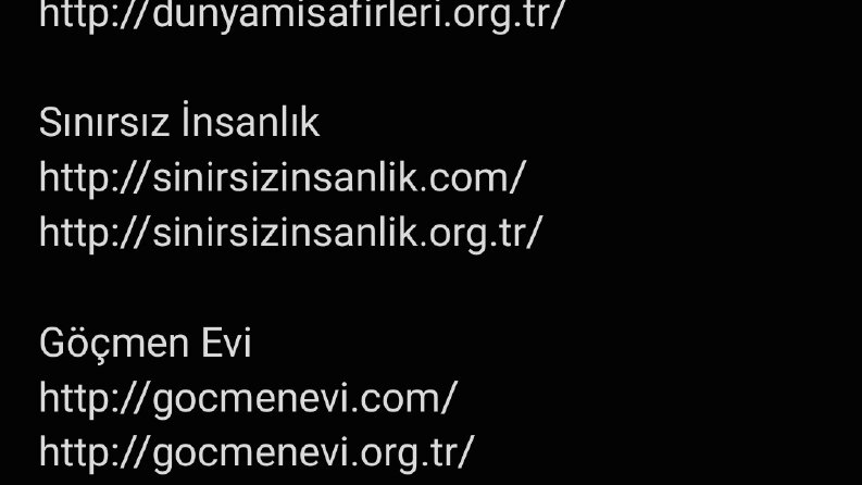 Göçmenlere Yönelik Yardım Kuruluşu İsmi ve Domain Bulma İşi