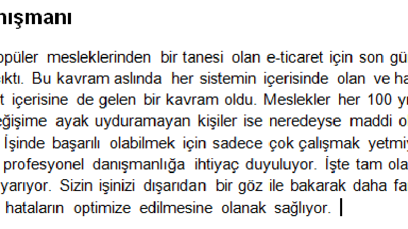 E-ticaret Danışmanı
