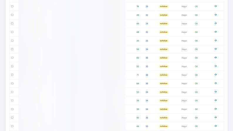 40 Adet Yüksek Otoriteli Backlink Raporu 2025