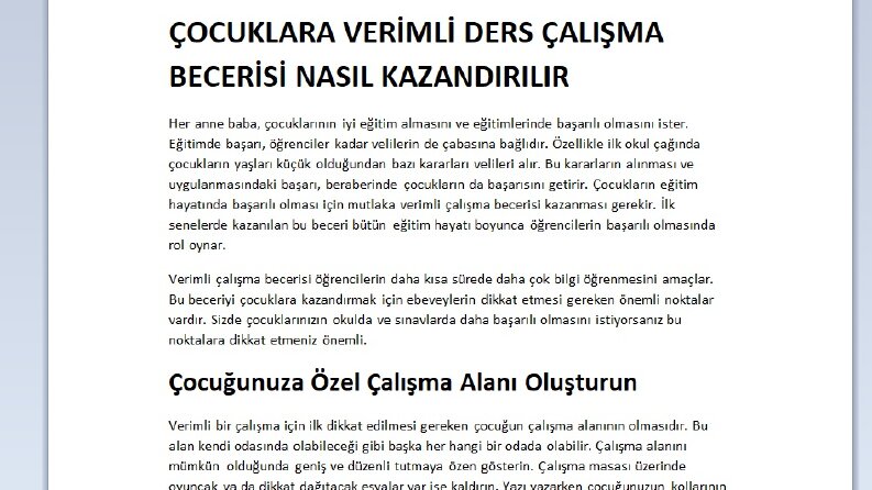 Örnek Çalışma