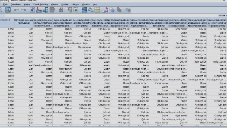 Spss Veri Girişi